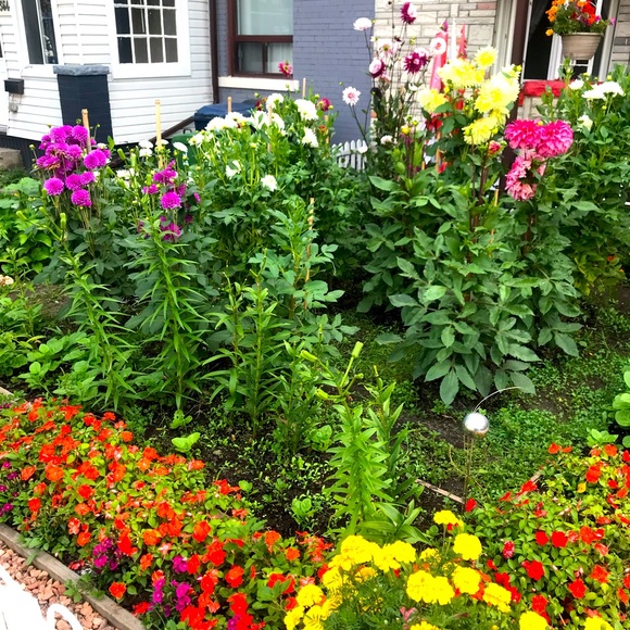 Meet your Posher, Kyrsten - Picture 1 of 1